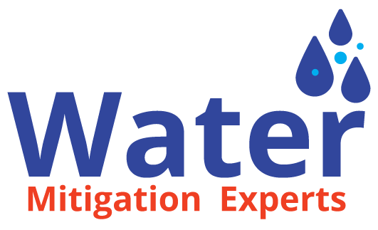 water mitigation experts